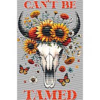 Country music-CM-286